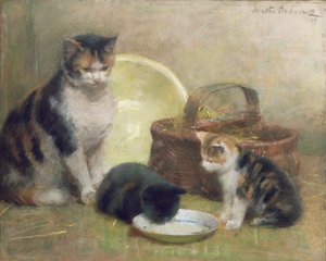 Chat et chatons, 1889